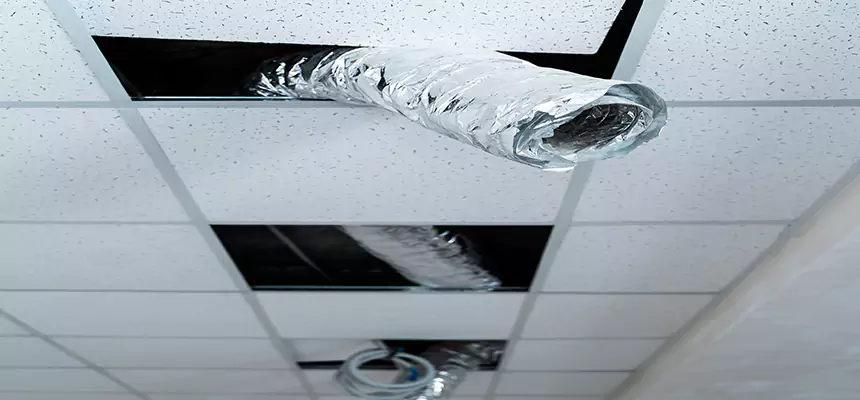 Our Air Duct Pet Hair Removal Services in Lebanon, IN