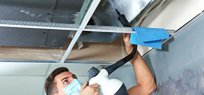 Our Air Duct Rodent Removal Services in Lebanon, IN
