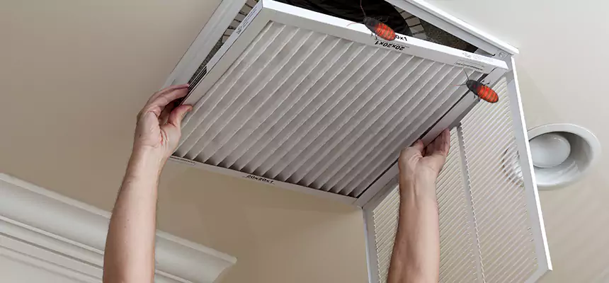 Our Insect Removal from Air Ducts Services in Lebanon, IN