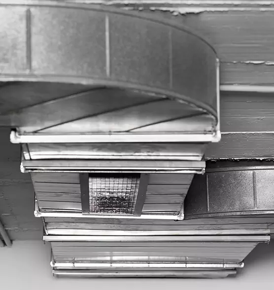 Professional Air Duct Pest Removal in Lebanon, IN