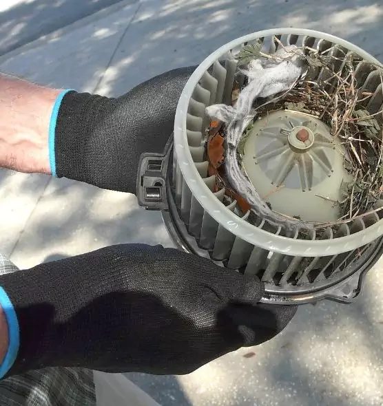 About Air Duct Rat Removal in Lebanon, IN