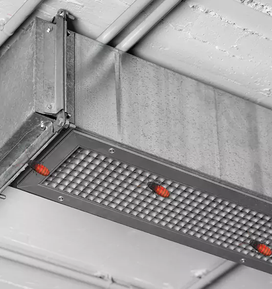 Affordable Insect Removal from Air Ducts in Lebanon, IN