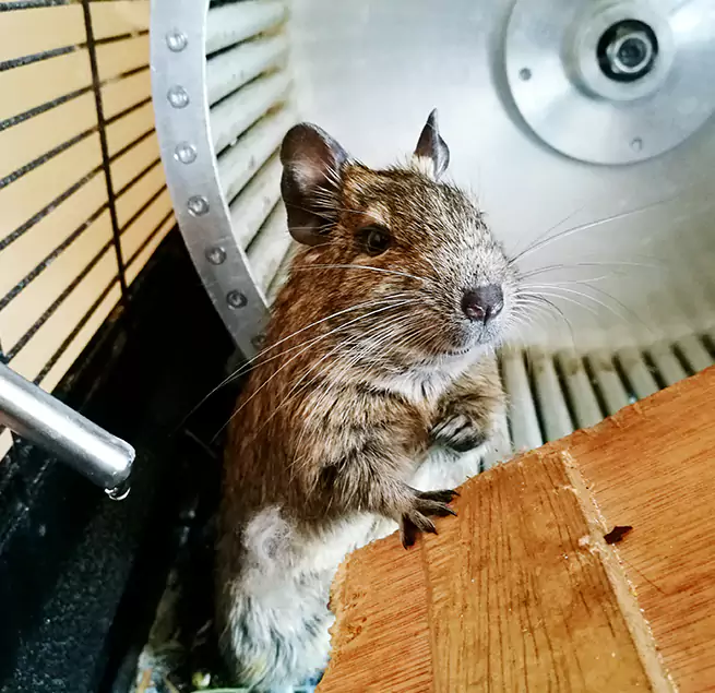 Why Homeowners & Businesses Trust Us Lebanon, IN